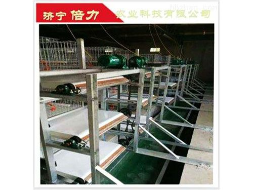 鴿子清糞機