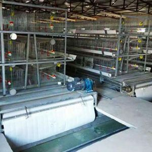 鴿子清糞機(jī)