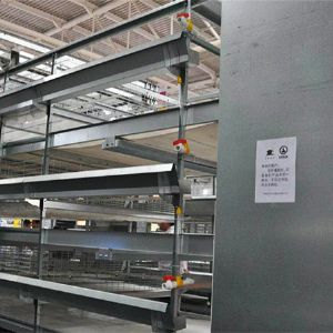 肉雞清糞機(jī)