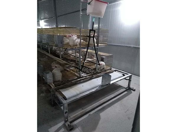 兔子清糞機(jī)