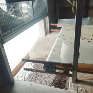 兔用自動(dòng)清糞機(jī)