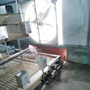 兔用自動清糞機(jī)