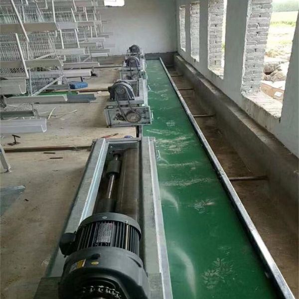 PP帶蛋雞清糞機(jī)