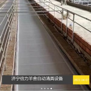 羊舍自動(dòng)清糞設(shè)備